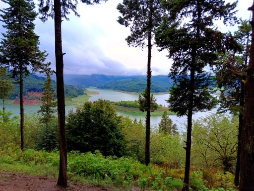 عکس دریاچه لفور