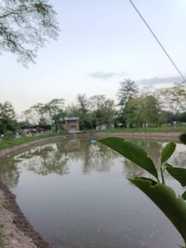 عکس رستوران و استراحتگاه زرافشان