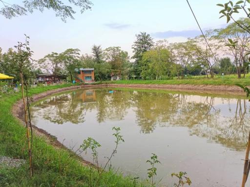 عکس رستوران و استراحتگاه زرافشان