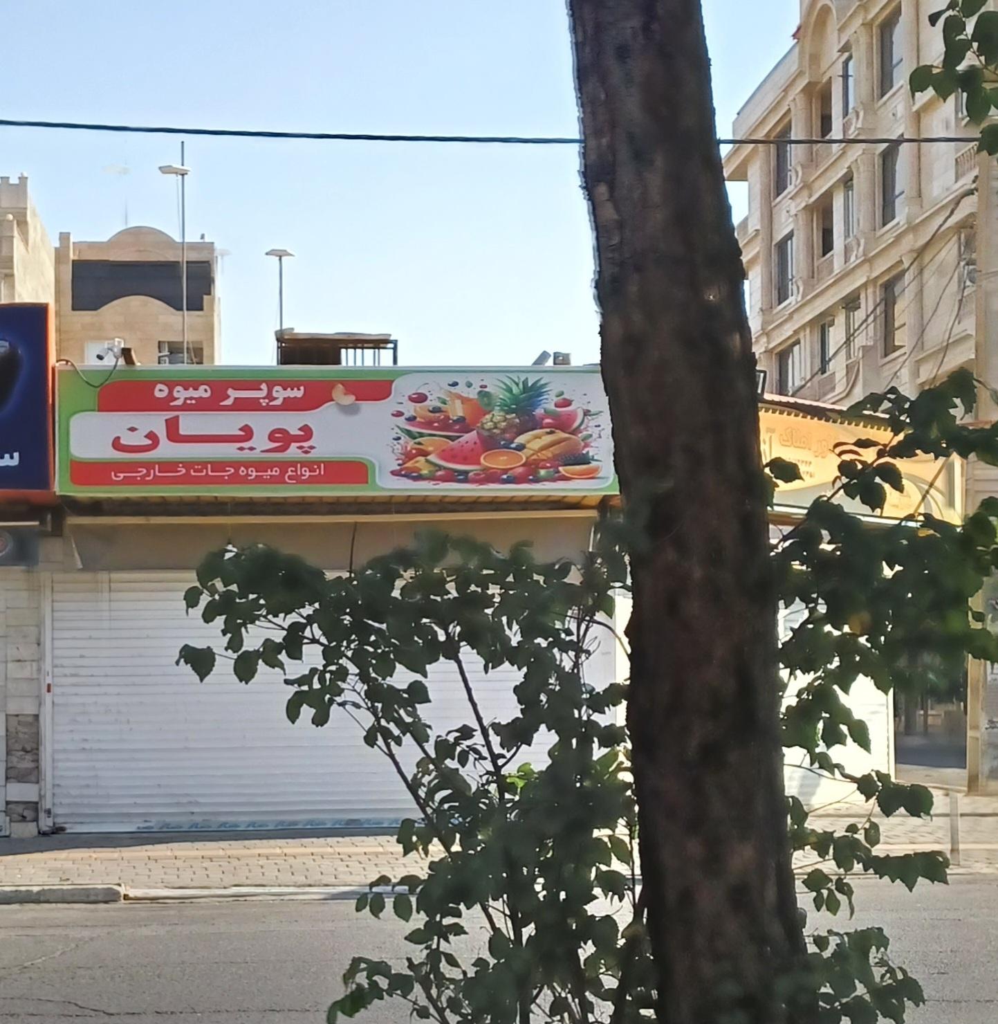 عکس میوه فروشی پویان