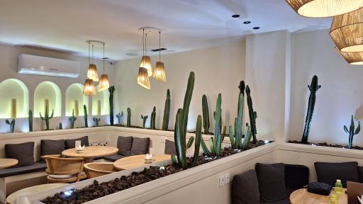 عکس قهوه باماهاس