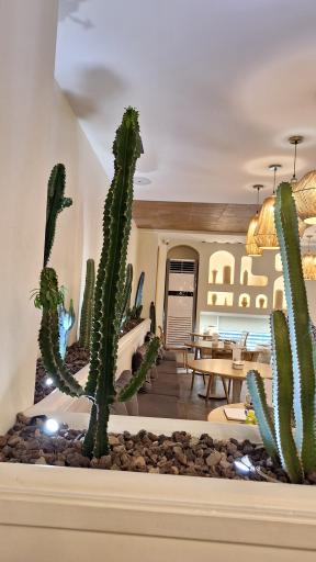 قهوه باماهاس