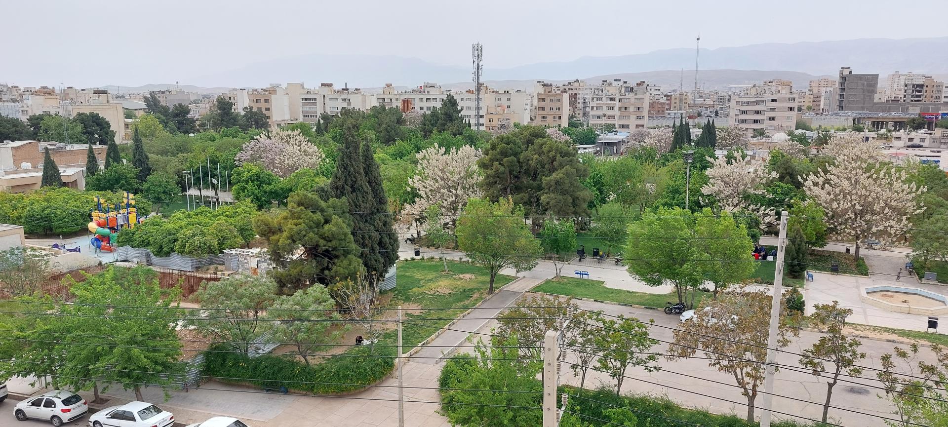 عکس بوستان هاشمی