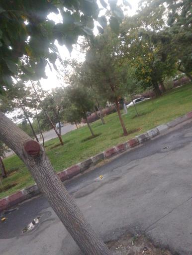 عکس فضای سبز