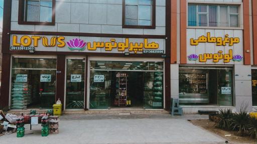 عکس هایپر لوتوس