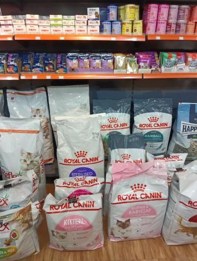 کلینیک دامپزشکی و پت شاپ فرشته