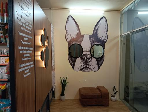 کلینیک دامپزشکی و پت شاپ فرشته