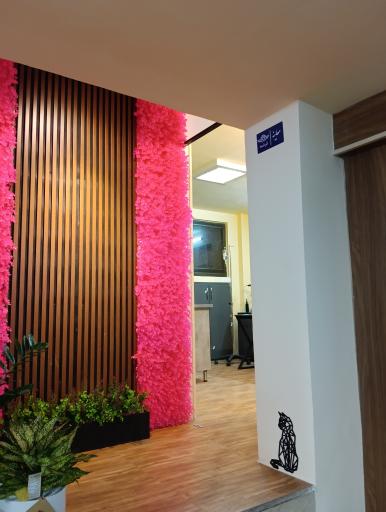 کلینیک دامپزشکی و پت شاپ فرشته