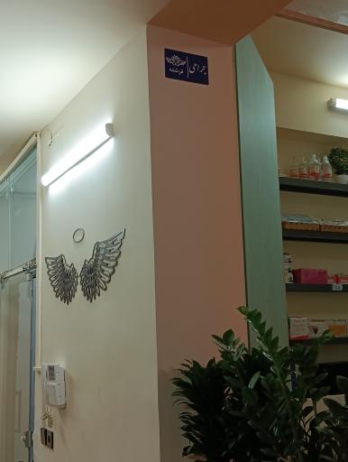 کلینیک دامپزشکی و پت شاپ فرشته