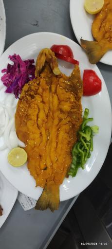 عکس رستوران آریا