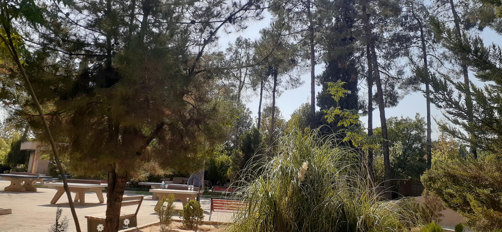 عکس بوستان کوثر