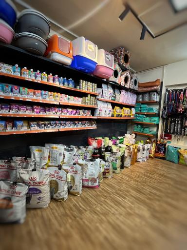 عکس کلینیک دامپزشکی و پت شاپ فرشته