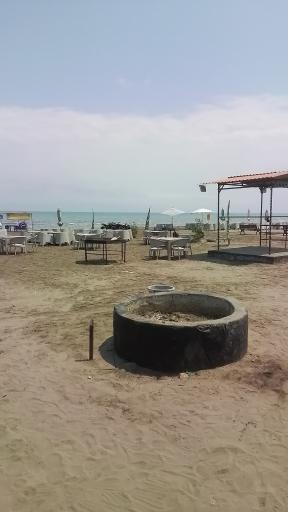 عکس گرین کافه