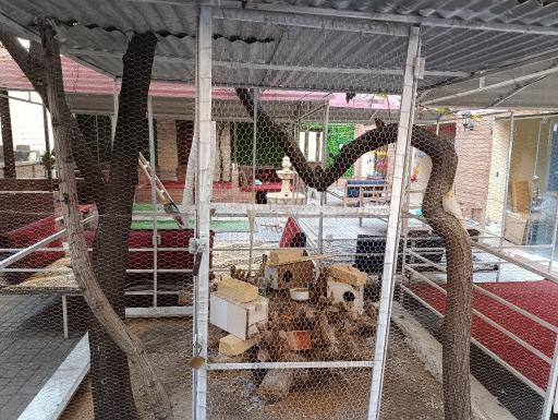 عکس رستوران شمشاد