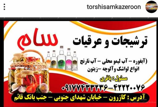 عکس ترشی سام باقری