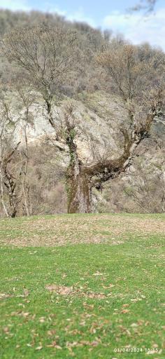 عکس سد گلورد