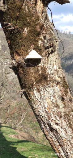 عکس سد گلورد