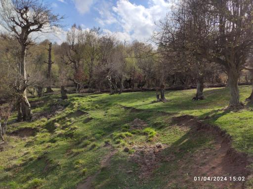 عکس سد گلورد