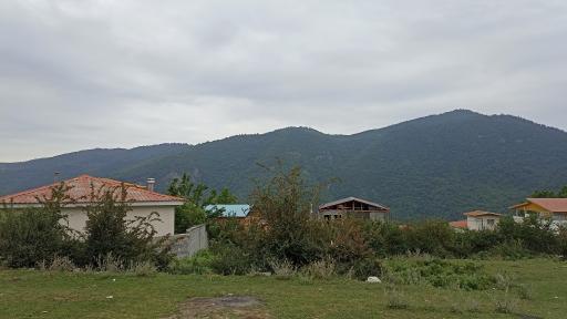 عکس منطقه جنگلی نجارکلا چلاو