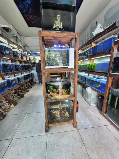 عکس آکواریوم حیات وحش