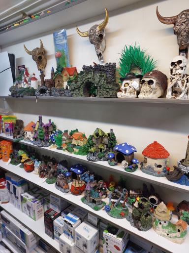 عکس آکواریوم حیات وحش