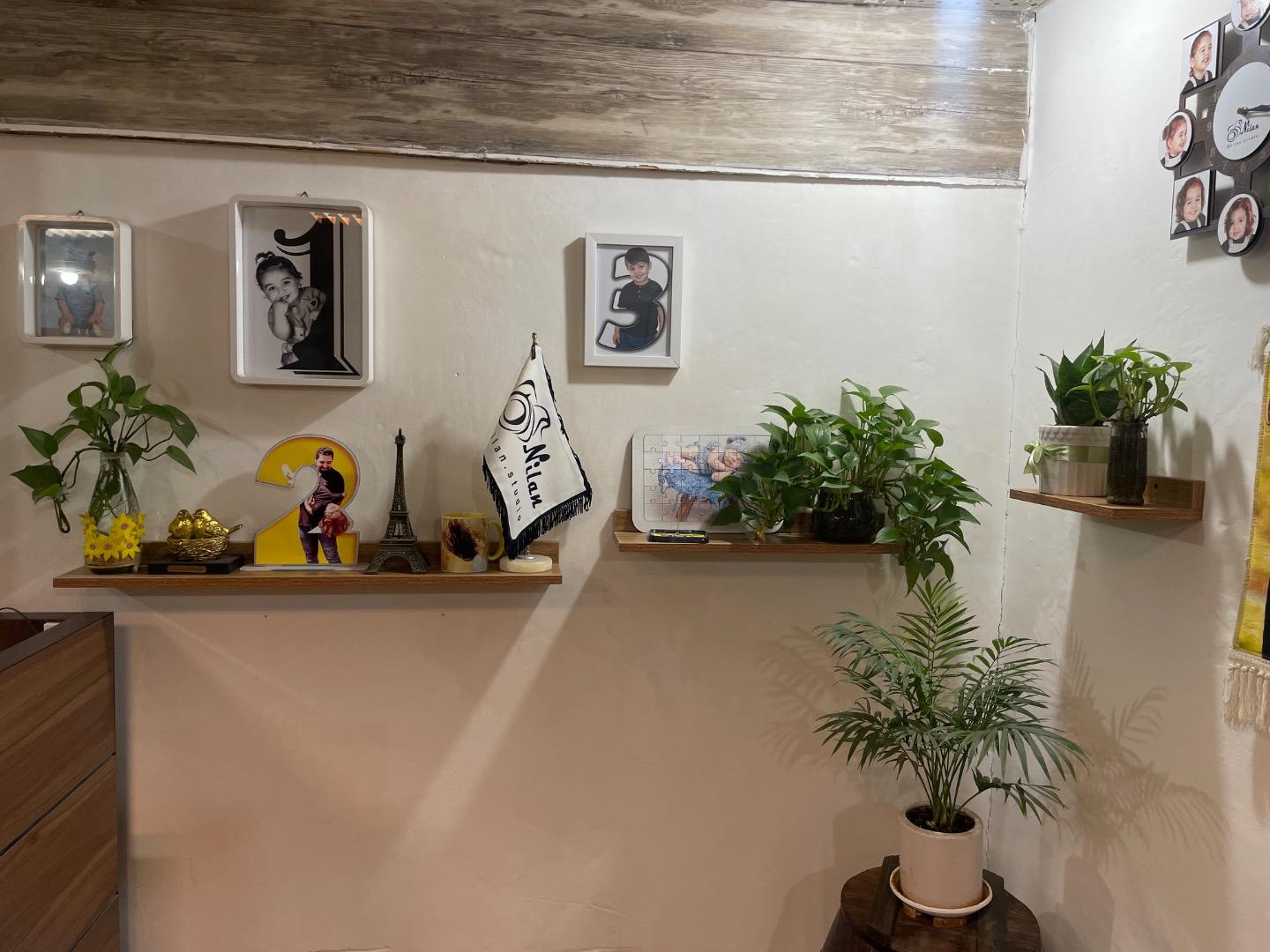 عکس آتلیه نیلان