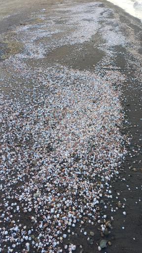 عکس ساحل نوکنده کوچک