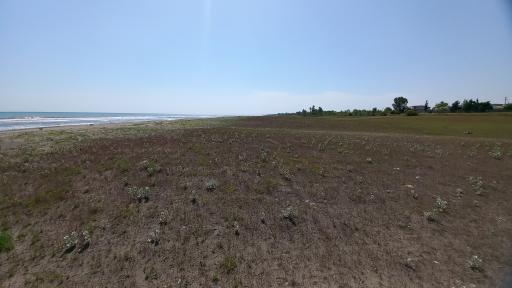 عکس ساحل نوکنده کوچک