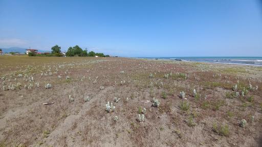 عکس ساحل نوکنده کوچک