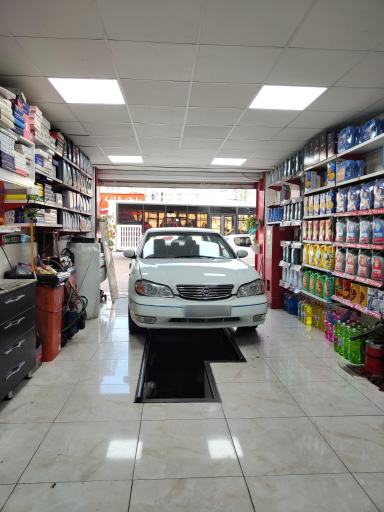 عکس نیک سرویس 