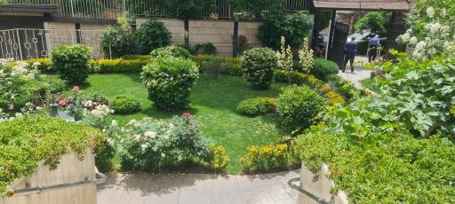 عکس مصلی آل کاظم 