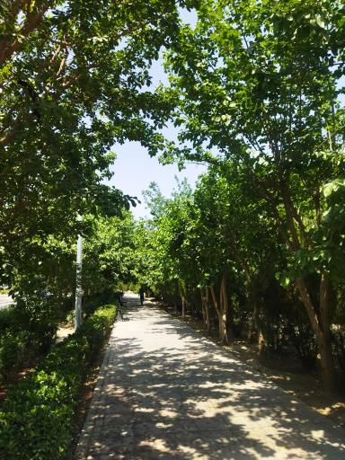 عکس پارک خطی شیخ محمدی