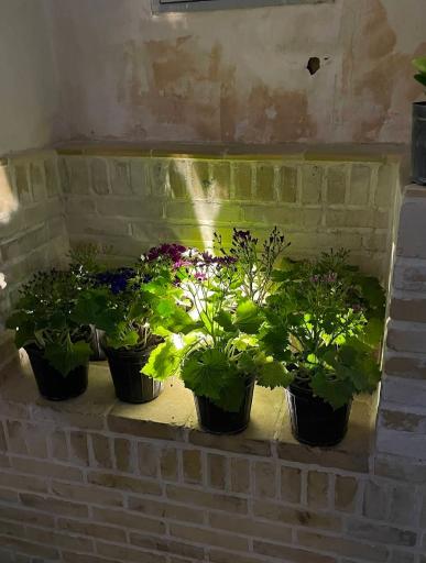 عکس حمام تاریخی وزوان (میرزا ابوتراب)