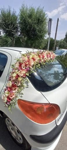 عکس گلفروشی نرگس 