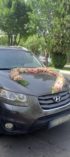 عکس گلفروشی نرگس 