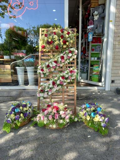 عکس گلفروشی نرگس 