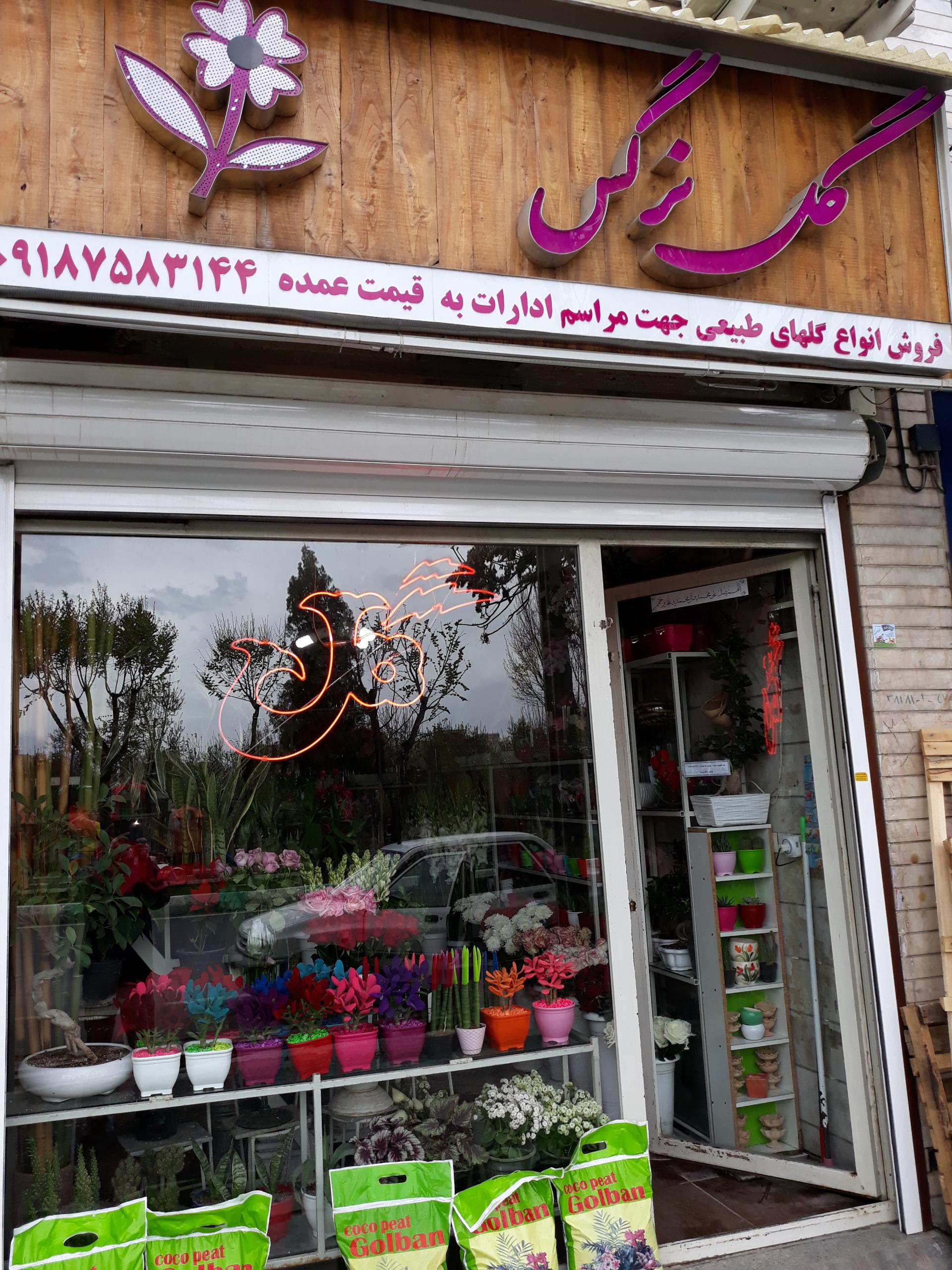 عکس گلفروشی نرگس 