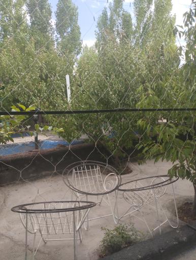 عکس کافه رستوران ماهور