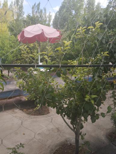 عکس کافه رستوران ماهور