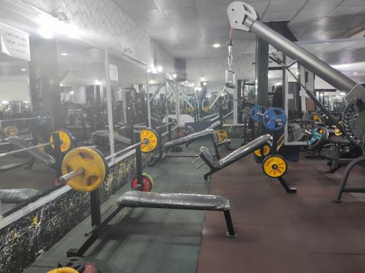 عکس باشگاه ورزشی المپیا