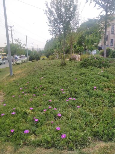 عکس پارک شهدای بسیج