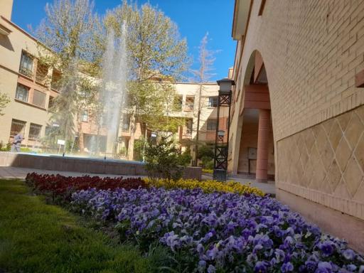 عکس مجتمع مسکونی زیتون