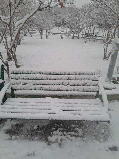 عکس بوستان شاهد