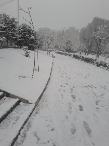 عکس بوستان شاهد