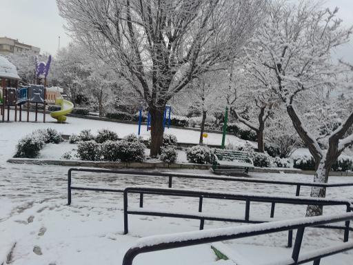 عکس بوستان شاهد