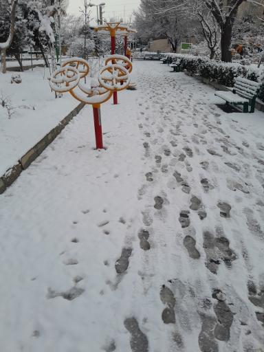 عکس بوستان شاهد