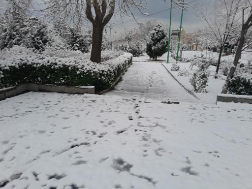 عکس بوستان شاهد