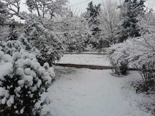 عکس بوستان شاهد