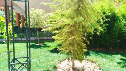 عکس مجتمع مسکونی زیتون