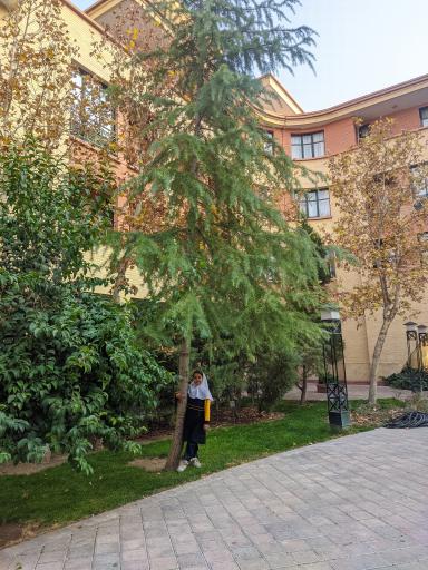 عکس مجتمع مسکونی زیتون